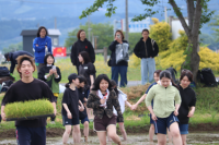 田んぼアート２