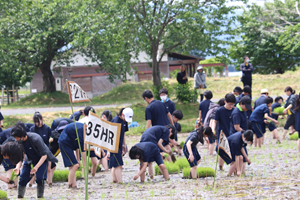 田植え３
