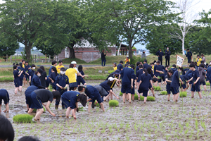 田植え４