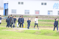 田んぼアート稲刈り①