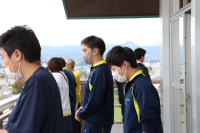 田んぼアート稲刈り②