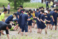 田植え２